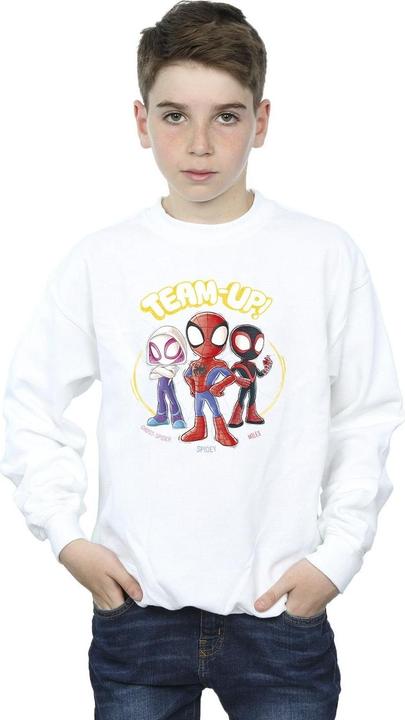 Actual product image Boys Spidey And His Amazing Friends Sketch Sweatshirt (140, 146)