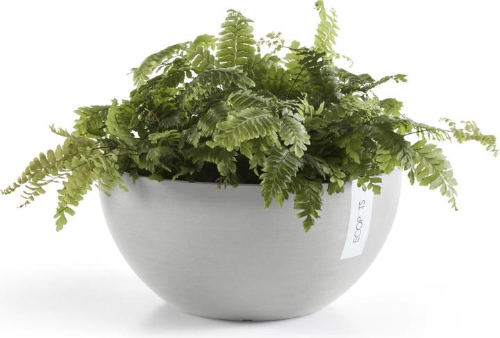 Image du produit Ecopots Bruxelles (25 cm)