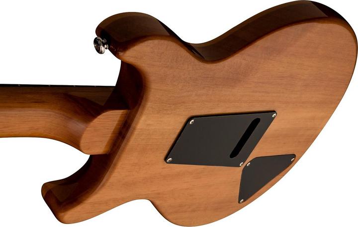Image du produit PRS SE Santana (Guitare électrique, Palissandre, acajou, érable)