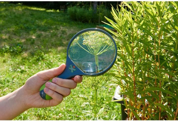Image du produit Haba Loupe Terra Kids