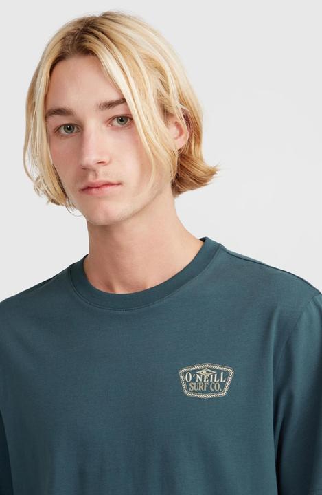 Actual product image O'Neill t-shirt o'nei sma chest print (L)