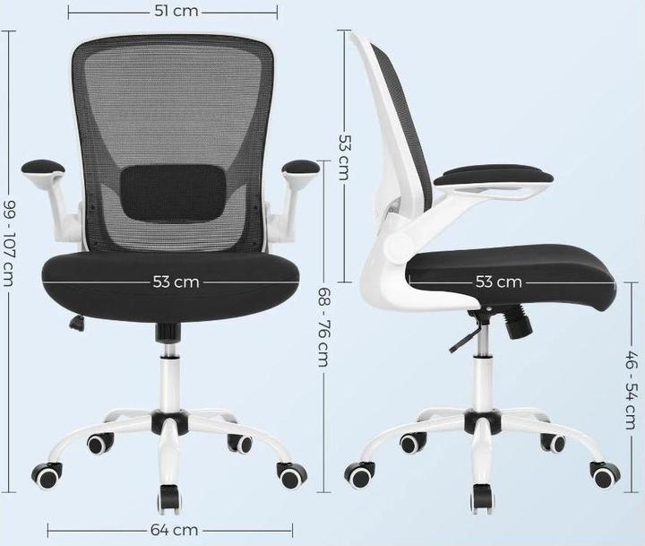 Actual product image Songmics Ergo