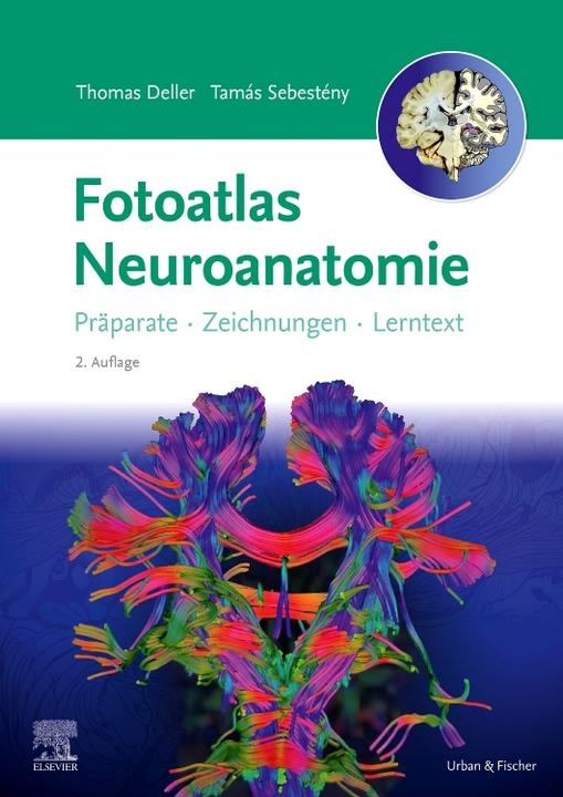 Produktbild Fotoatlas Neuroanatomie (Deutsch, Katrin Eichler, Thomas Deller, Stephanie Tritt, Tamás Sebestény, 2024)