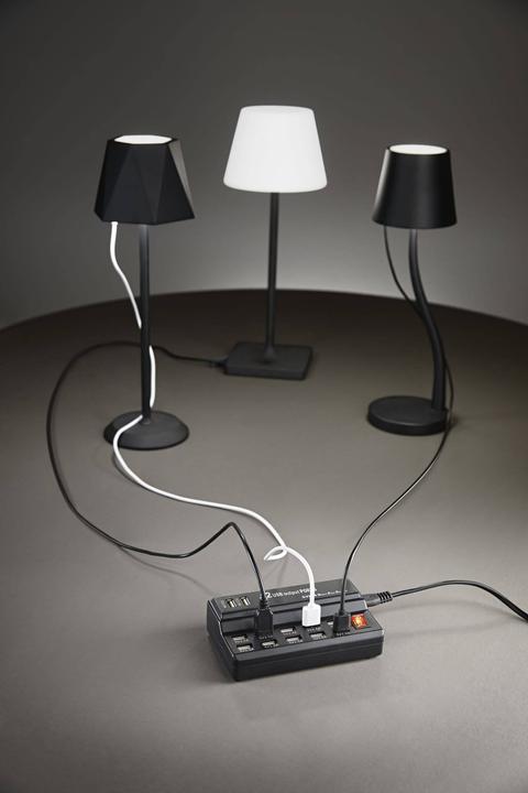 Image du produit Fabas Luce Chargeur multiple USB, 12 ports, avec interrupteur Accessoires 35x80mm Noir (45 W)