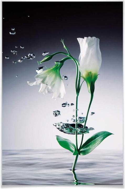 Actual product image Wizard + Genius Crystal Flowers (115 x 175 cm)