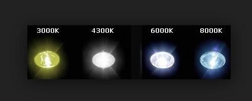 Actual product image Autostyle Xenon burner replacement lamp (D3S)