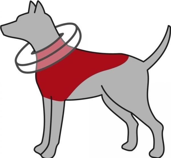 Produktbild Trixie Schutzkragen aufblasbar S–M (Hund)