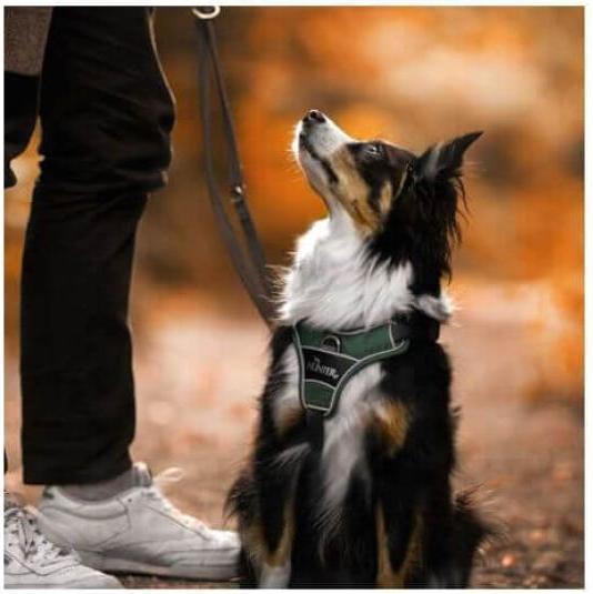 Produktbild Hunter Geschirr Divo (L, Hund, Hundesport)