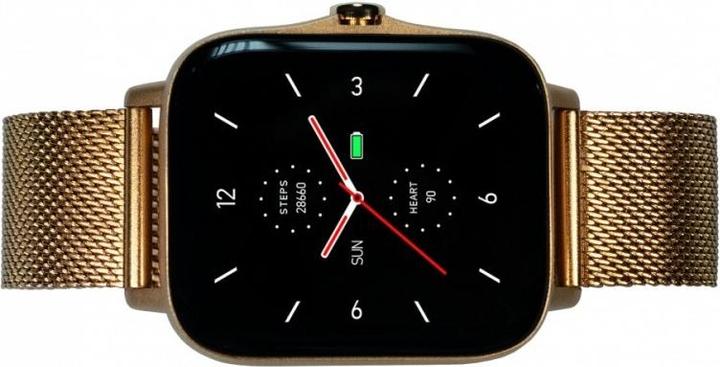 Actual product image Maxcom Suitable for FW55 Aurum Pro Gold (44 mm)