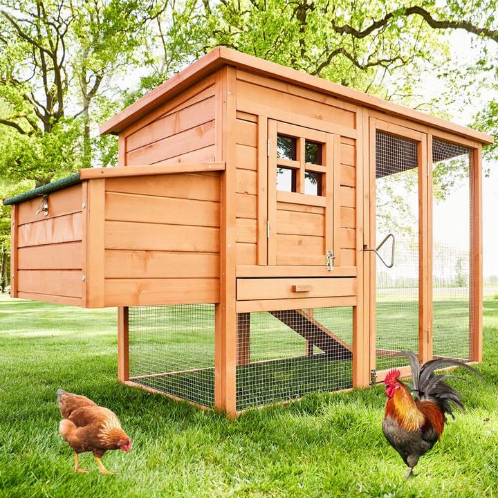 Jamb Chicken coop XXL