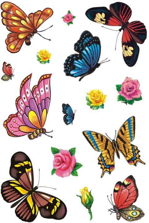 Image du produit Magni Coloris de tatouage Classic Papillons