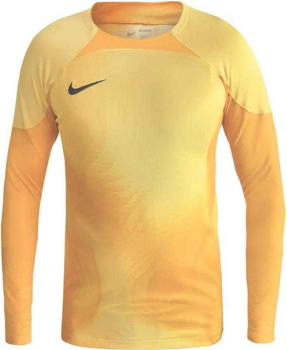 Actual product image Nike Mens Jersey M Nk Dfadv Gardien Iv Gk Jsyls, Tour Yellow/University Gold/Black, DH7967-719, L (L)
