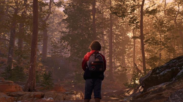 Image du produit Microsoft As Dusk Falls (PC, Xbox Series X, Xbox Series S, Xbox One X, Xbox One S)