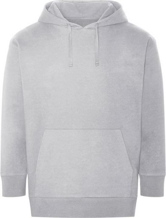 Image du produit Awdis Sweat à capuche recyclé pour adultes Cratère (XXL)