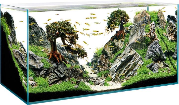 Image du produit Oase Aquarium ScaperLine 100, 250 l (250 l)