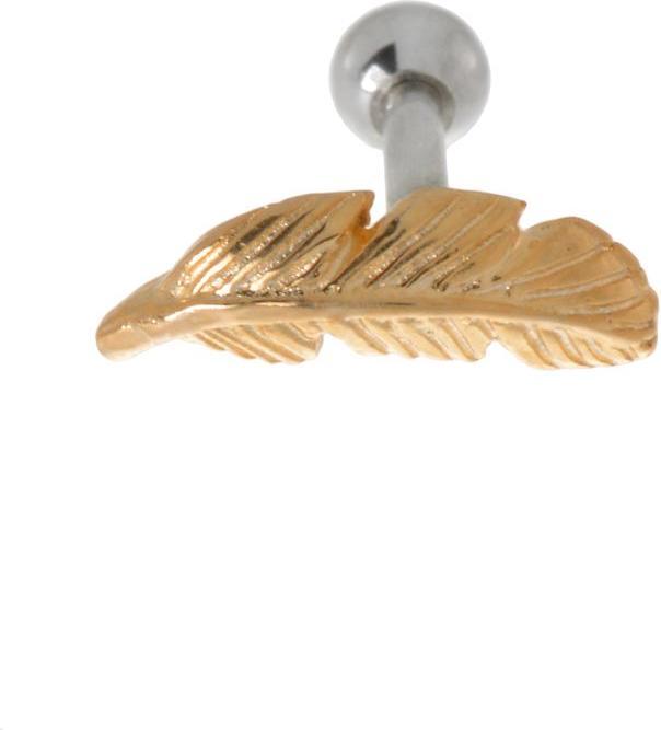 Immagine prodotto Bijouteria Piercing orecchio (Acciaio chirurgico 316L, Placcatura in oro (placcatura oro), Ottone con placcatura in argento)