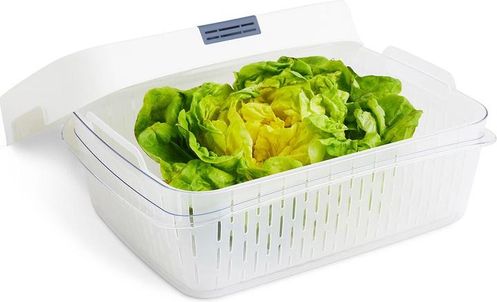 Produktbild Rotho Dynamic Box 6,4 l FRESH (6.40 l)