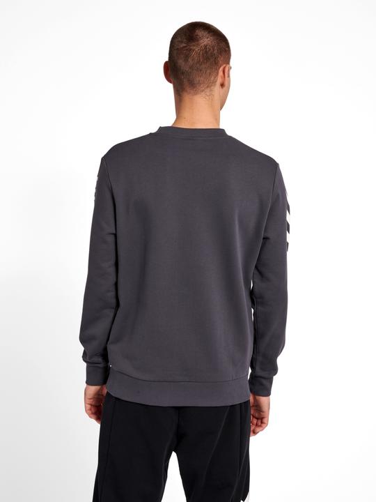 Actual product image hummel Lgc Birk Sweatshirt (XS)