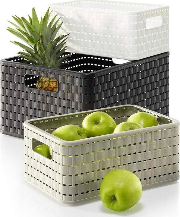 Immagine prodotto Rotho Paese (1 x, 43 x 33 x 21,5 cm)
