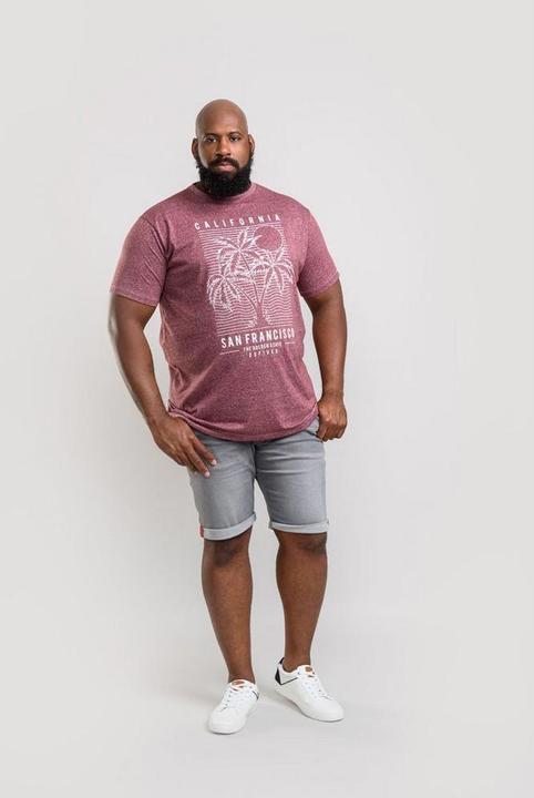 Immagine prodotto DUKE TShirt Oscar con la stampa SanFranciscoPrint in formato oversize (S, 4XL)