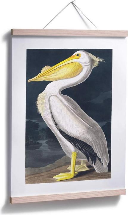 Actual product image Trenddeko Pelican (60 x 80 cm)
