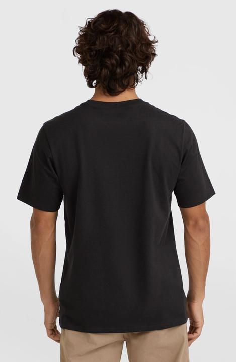 Actual product image O'Neill t-shirt sall chest print (M)