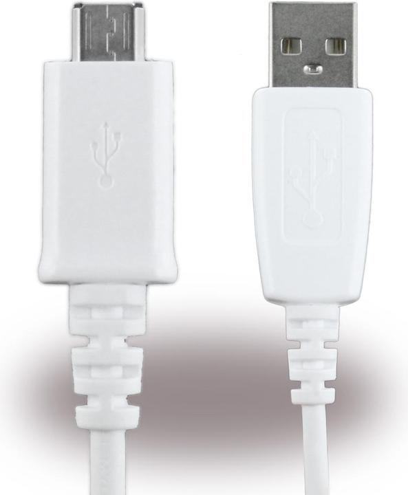 Produktbild Samsung ECB-DU4AWE (1 m, USB 2.0)