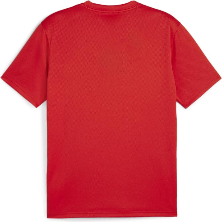 Actual product image Puma teamGOAL Jersey (L)