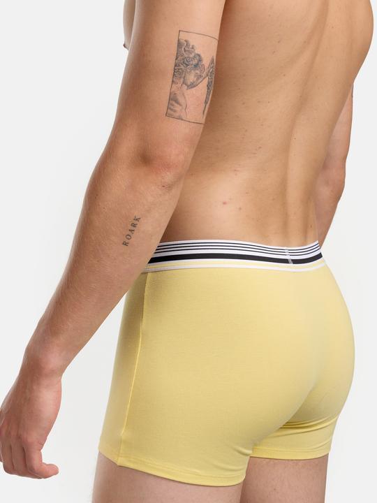 Produktbild DIM Boxer Smart (L, Einzelpack)