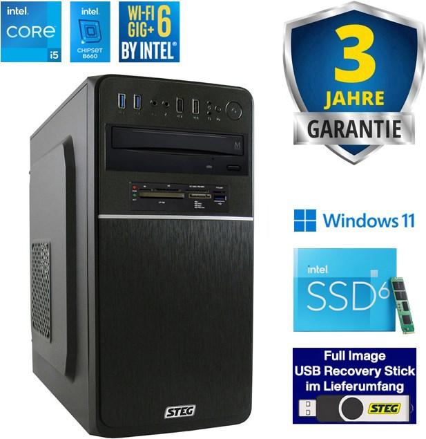STEG PC Home Station 50 VI (CH, i5, 16GB, 1TB SSD, 2TB HDD, Intel UHD, W11H) (Intel Core i5-12400)
