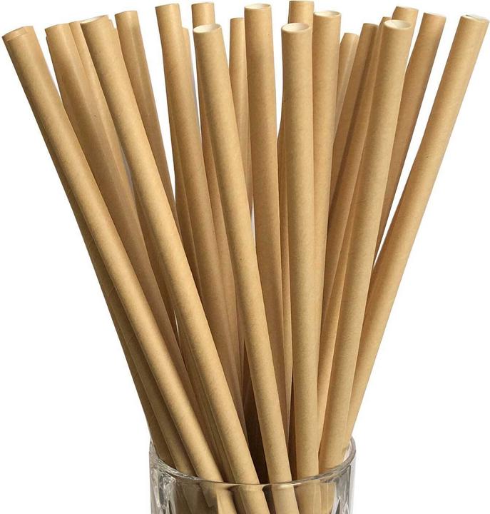 Image du produit Luxentu Pailles en papier Jumbo (100 x)