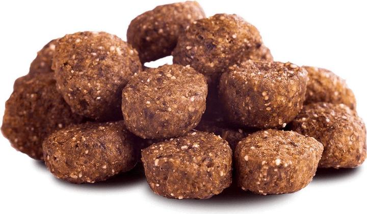 Actual product image The Goodstuff Salmon (Junior, 1 pcs., 12500 g)
