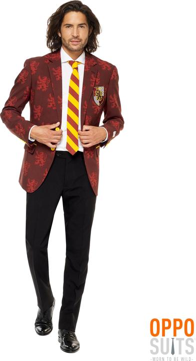 Image du produit OppoSuits Harry Potter (52)
