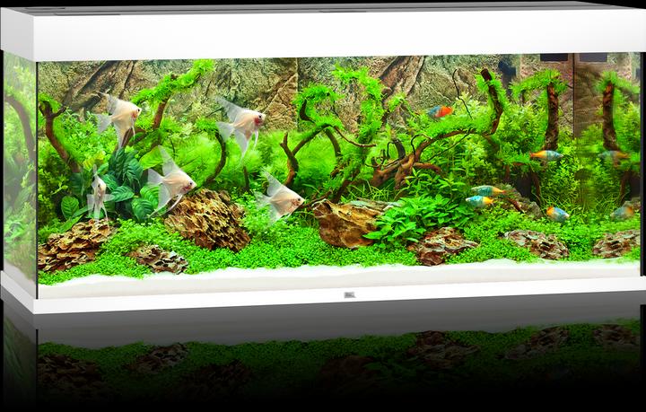 Image du produit Juwel Aquarium Rio LED (240 l)