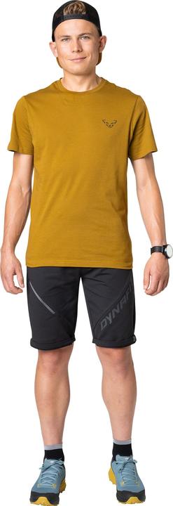 Immagine prodotto Dynafit 24/7 Graphic T-Shirt (L)