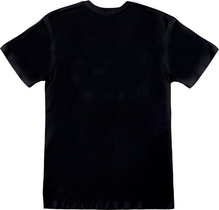 Actual product image Rick And Morty Tshirt (L)