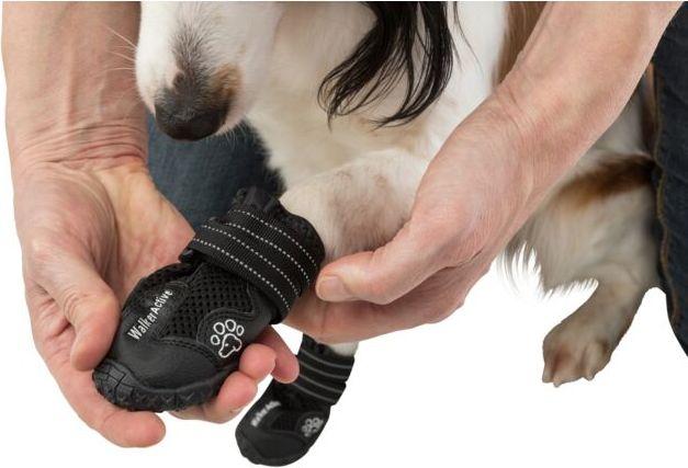 Actual product image Trixie Paw Protector Walker Active (S, M, Dog boots)