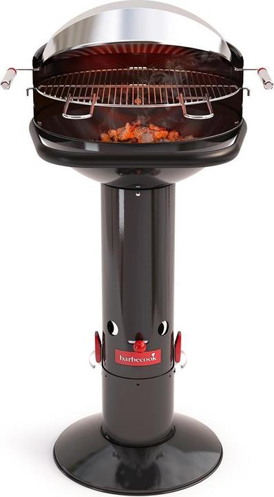 Actual product image Barbecook Loewy 45 (43 cm)