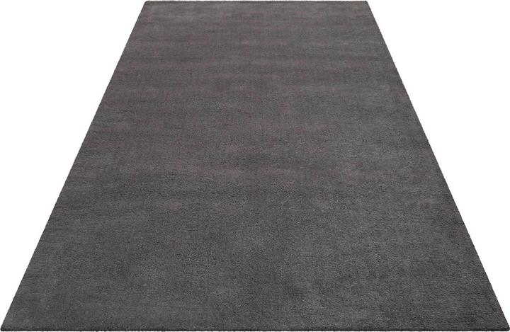 Produktbild Esprit Greenwood Rug (90 x 160 cm)