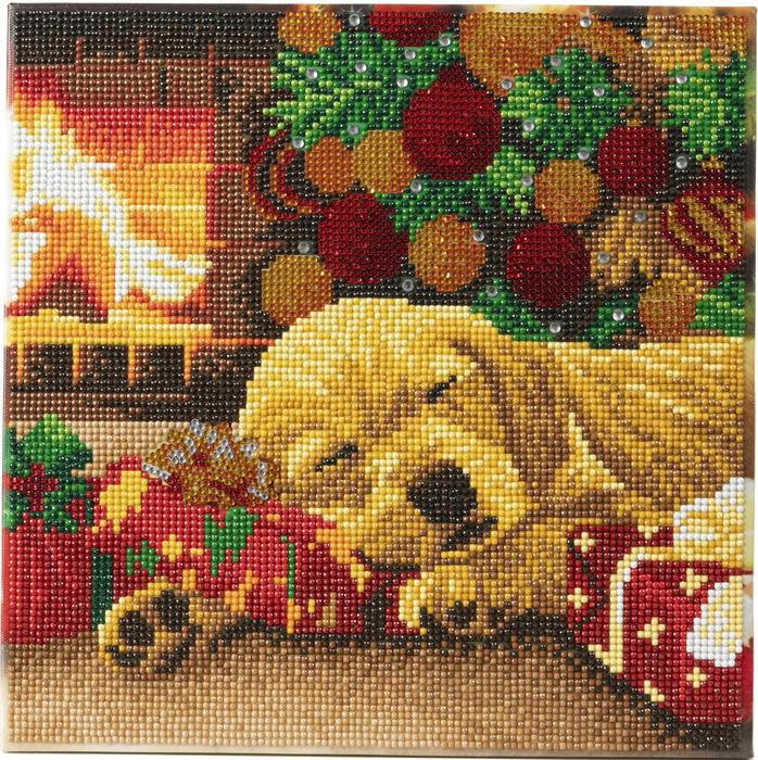Image du produit Craft Buddy Chiot Labrador dormant, tableau 30x30cm Crystal Art
