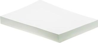 Immagine prodotto Rs Pro Fogli camera bianca A4 100gms/mq (100 g/m², 500 x)