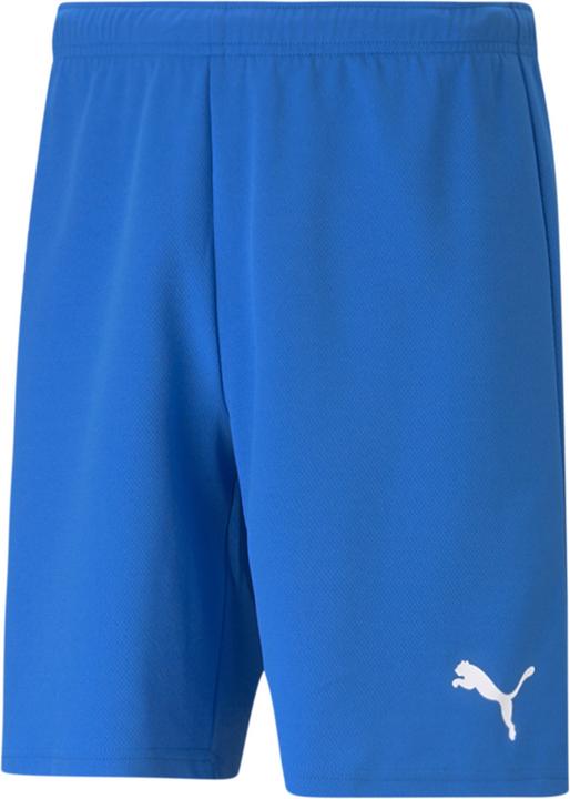 Puma TeamRise