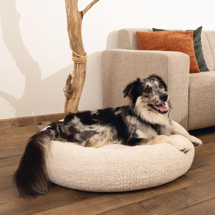 Produktbild Beeztees Memory Foam Liegebett Jaxx (Hund)