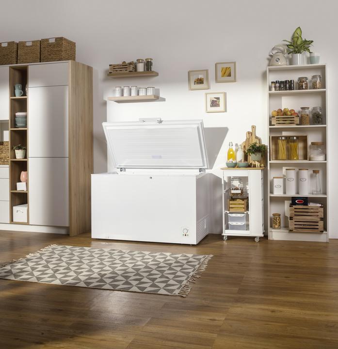 Produktbild Gorenje FH302CW Industrieller Kühl/Gefrierschrank Freistehend E (Freistehend, 303 l)