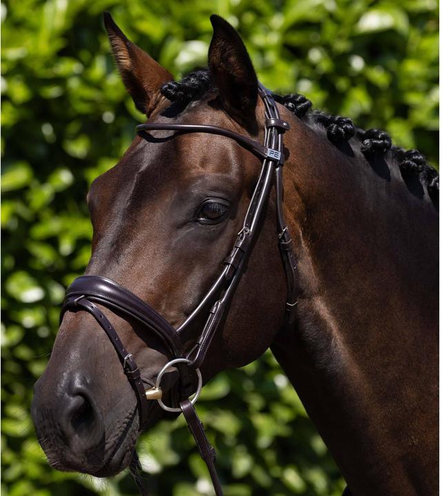 Produktbild Premier Equine Finetti