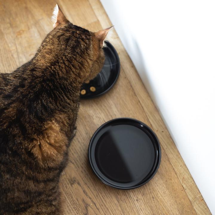 Produktbild LucyBalu BOWL Porzellan Katzennapf