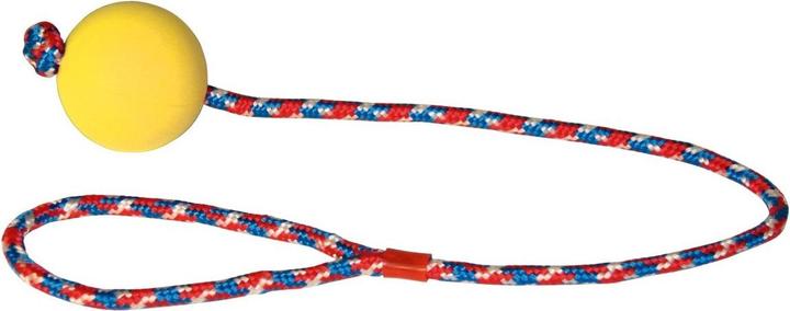 Actual product image Kerbl Sponge rubber ball on rope (Ball toy dog)