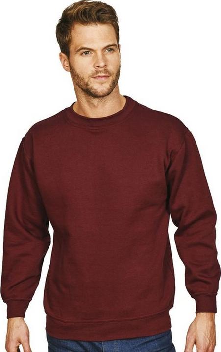 Image du produit Absolute Apparel Pull-over Sterling (3XL)