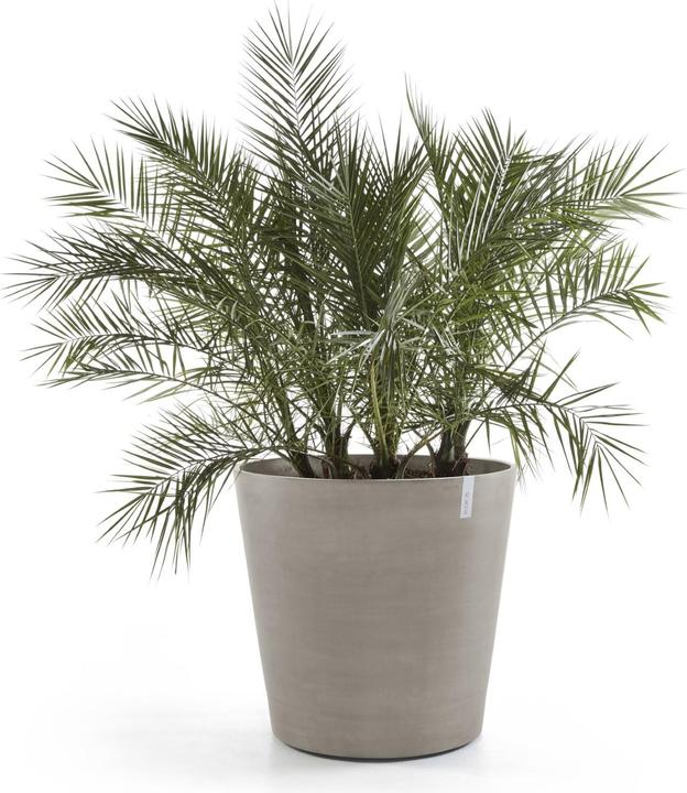 Image du produit Ecopots Amsterdam Wheels (60 cm)