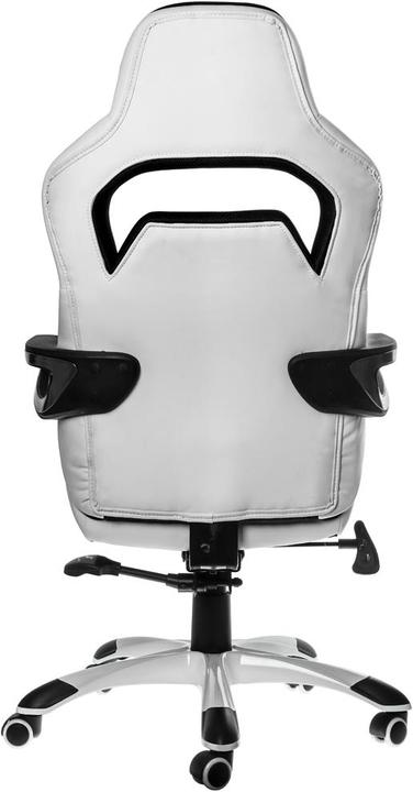 Actual product image Nitro Concepts E220 Evo